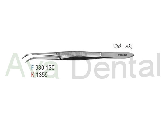 پنس گوتا