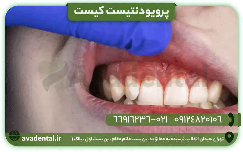 پرویودنتیست کیست